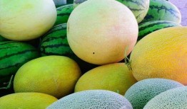 娱乐圈哪个地方吃瓜最好,揭秘最佳“吃瓜”圣地