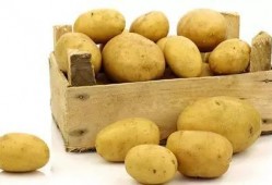 娱乐吃瓜酱土豆,揭秘娱乐圈那些不为人知的幕后故事