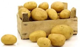 娱乐吃瓜酱土豆,揭秘娱乐圈那些不为人知的幕后故事