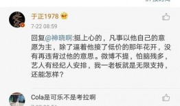 娱乐圈吃瓜点评文案,吃瓜点评背后的真相揭秘