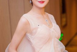 娱乐圈吃瓜元素表赵丽颖,娱乐圈吃瓜界的“瓜王”