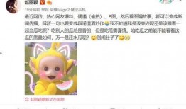 娱乐圈吃瓜元素表赵丽颖,娱乐圈吃瓜界的“瓜王”