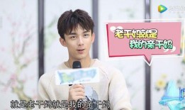 吃瓜娱乐圈吴磊是谁啊,吴磊的崛起之路