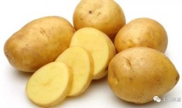 娱乐吃瓜酱土豆,揭秘娱乐圈那些不为人知的幕后故事