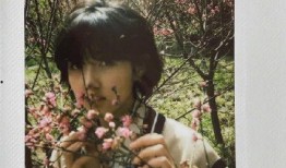 娱乐圈吃瓜爆料张新成,揭秘背后的真相与争议