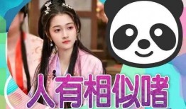 娱乐吃瓜直播讲故事,揭秘娱乐圈吃瓜背后的故事