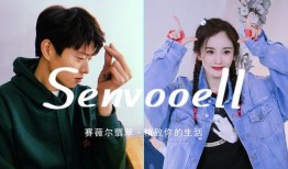 娱乐吃瓜所魏大勋,从娱乐吃瓜到人气飙升的明星之路