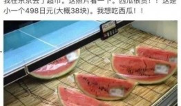 日本娱乐吃瓜,揭秘明星幕后故事与八卦传闻