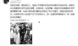 娱乐吃瓜君郭老事,揭秘娱乐圈背后的“吃瓜”故事